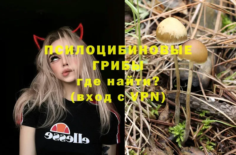 Псилоцибиновые грибы Psilocybe  hydra зеркало  Катайск 